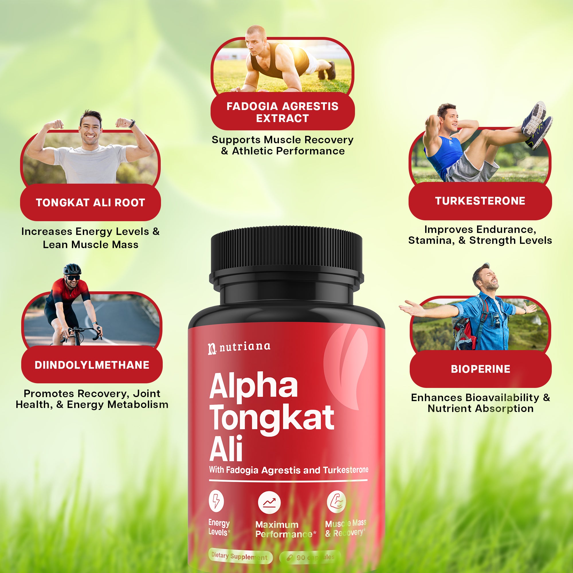 Nutriana Longjack Tongkat Ali Fadogia Agrestis Complex - and Turkesterone Energy Booster for Men - Tongkat Ali 600mg - 90 Capsules